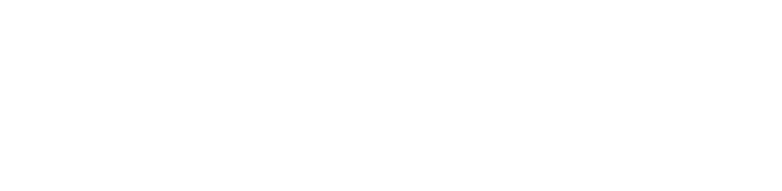 Logo assurance optimum global